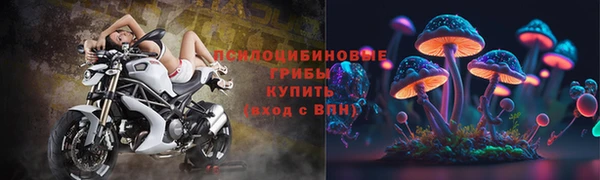 синтетический гашиш Богородицк