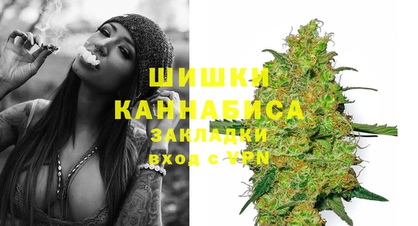 Альфа ПВП Кулебаки