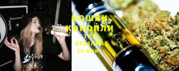 трава Ладушкин