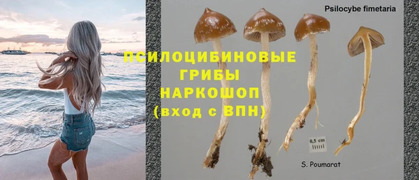 круглые Фёдоровский