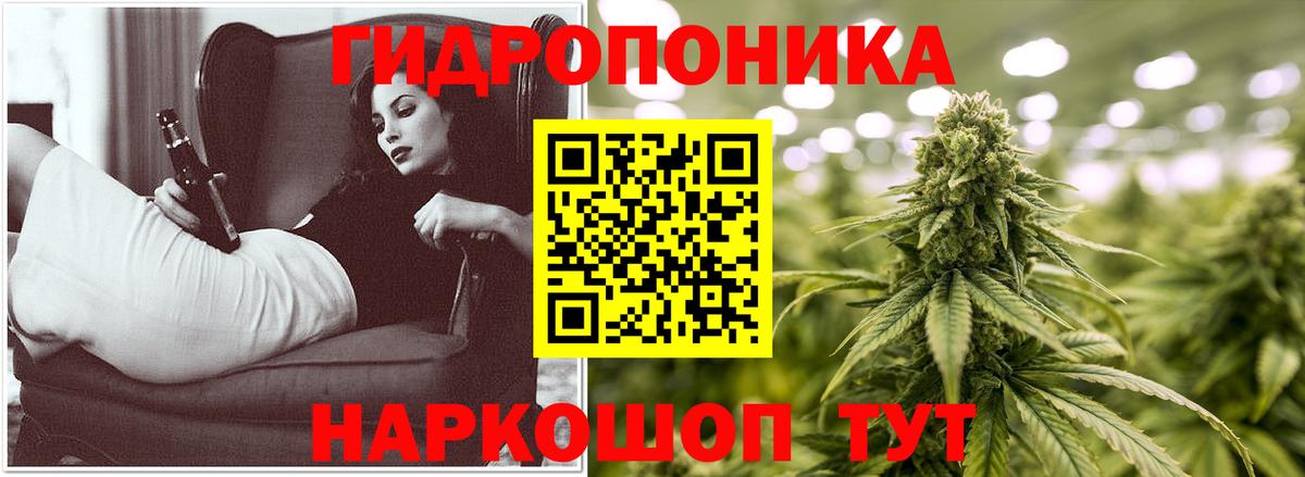 Бошки Шишки White Widow  Бошки Шишки конопля  Хасавюрт  Вход с VPN  Конопля план  МАРИХУАНА Bruce Banner 